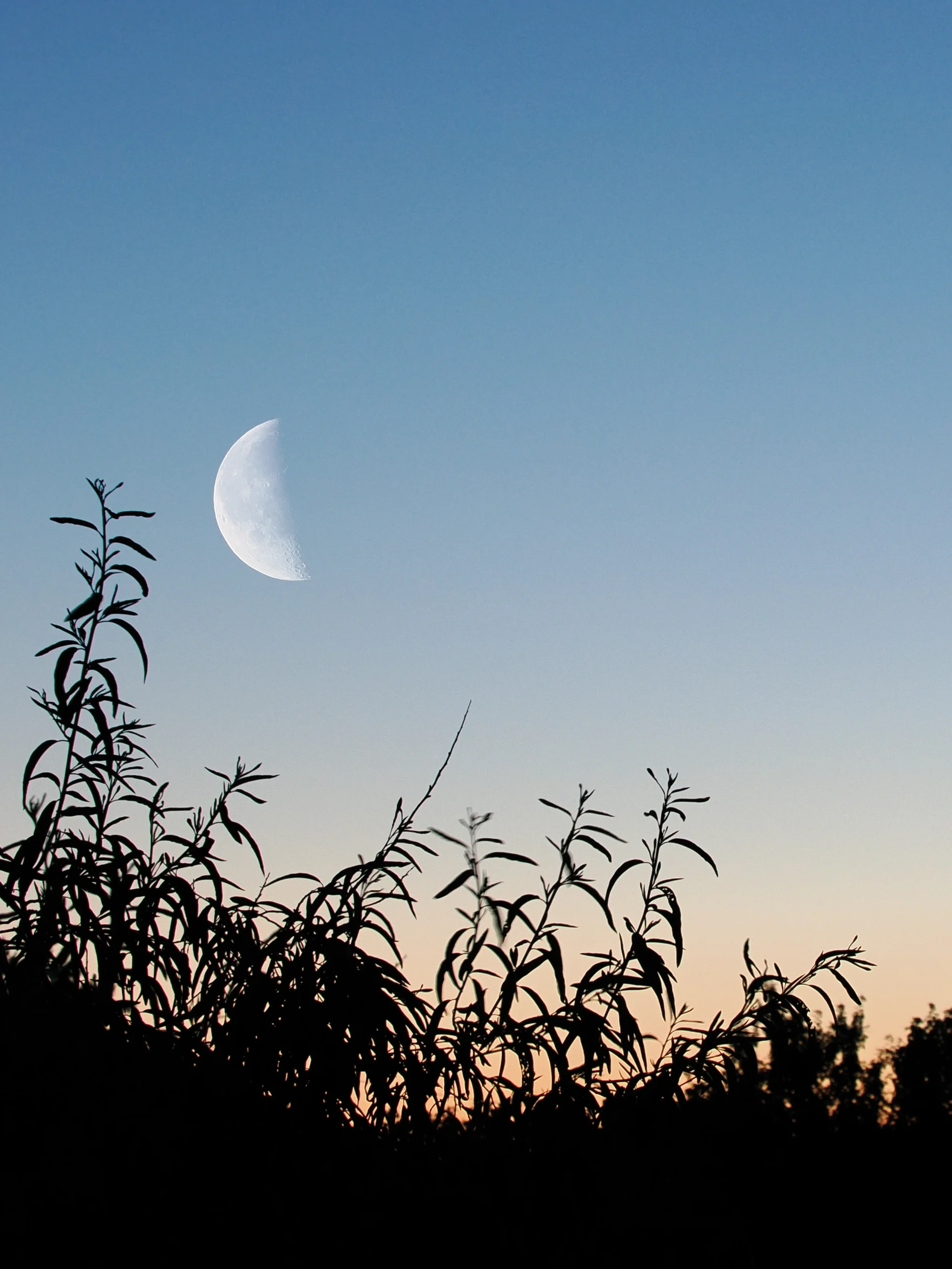 Moon, Composite Image