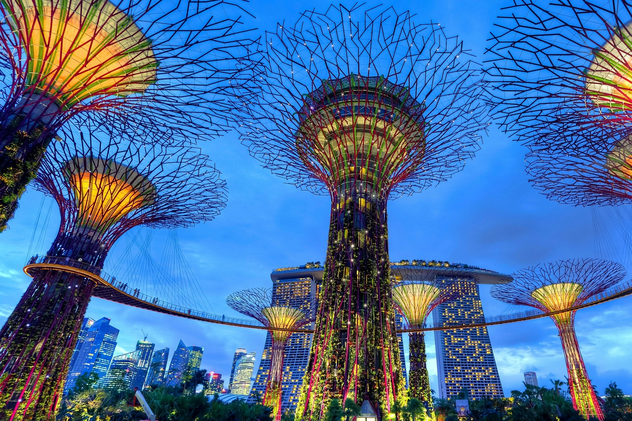 Enhancing quality of life in large cities through Biodiversity