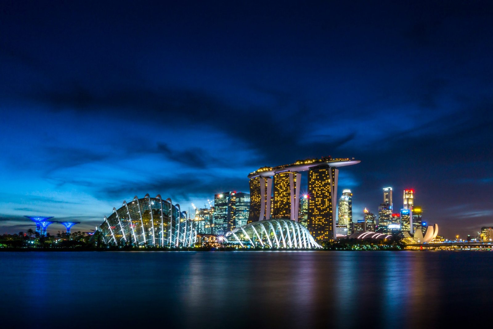How Biodiversity Enhances Quality of Life in Urban Areas