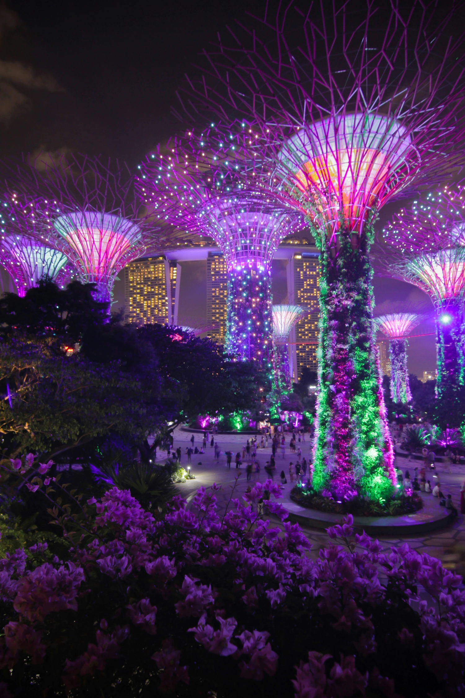 Singapore Urbain Vegetation - Bambi-Corro
