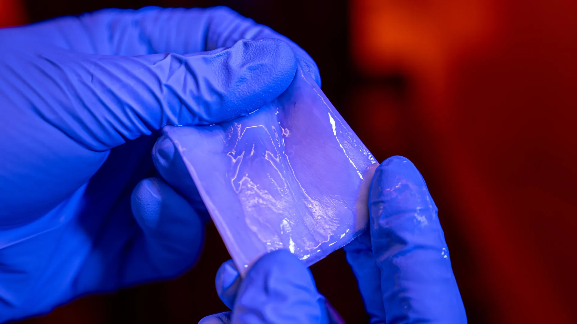 Aligned Bacterial Cellulose (ABC) Bionanocomposite Sheets