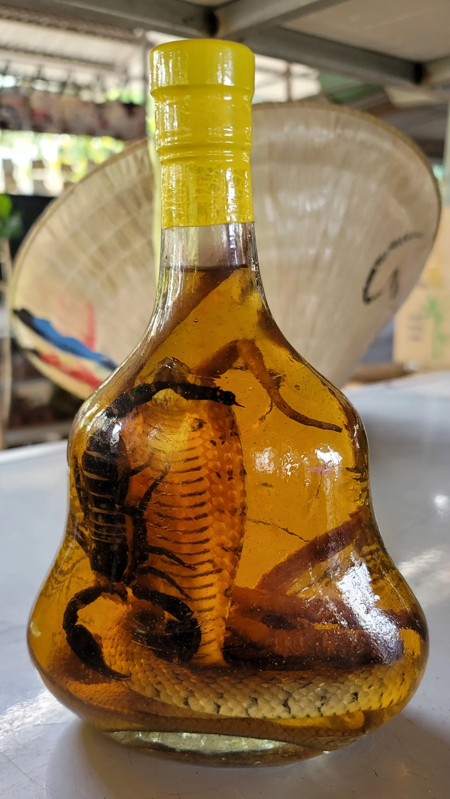 Snake Wine