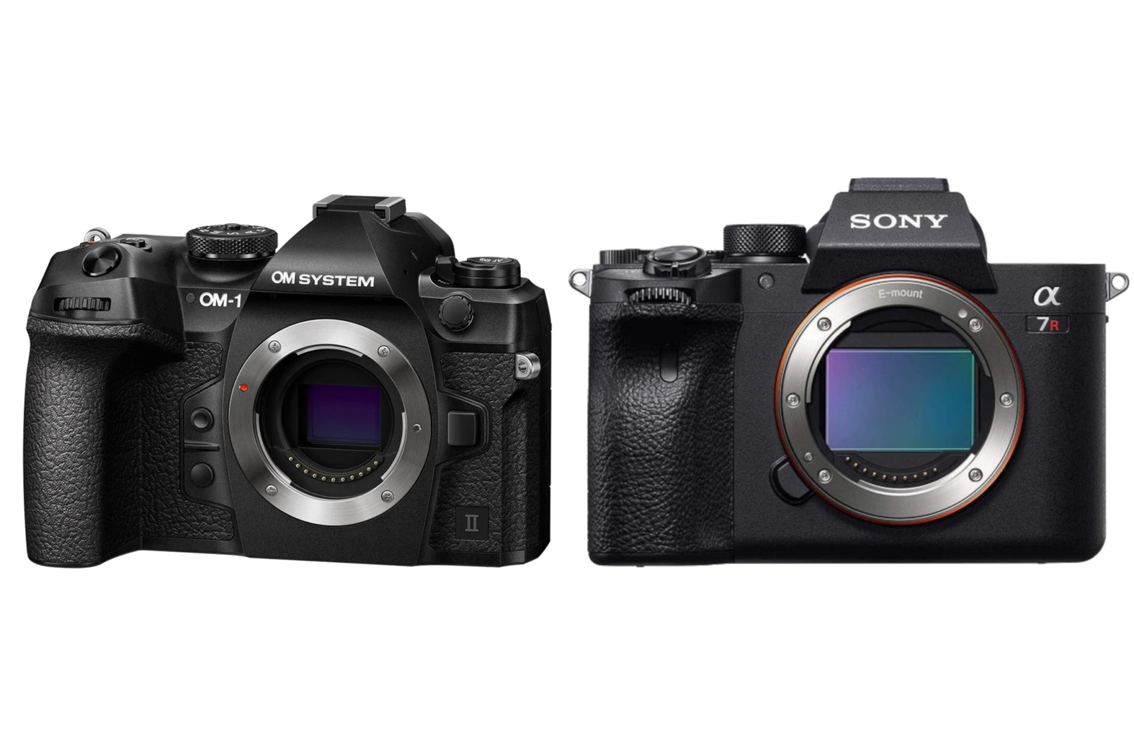 OM System OM-1 Mark II vs Sony a7R IV: The 20MP Speed Demon vs The 61MP Resolution King